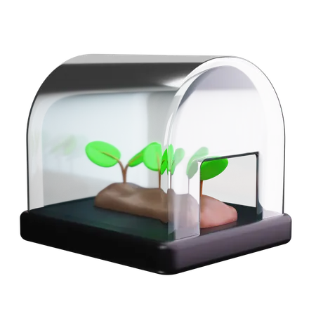 Green House  3D Icon