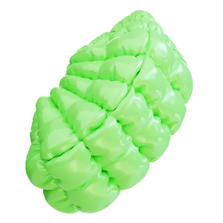Green inflatable balloon  3D Icon