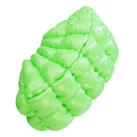 Green inflatable balloon  3D Icon