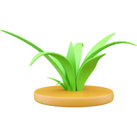 Green Lawn  3D Icon