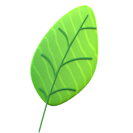 Green Leaf  3D Icon