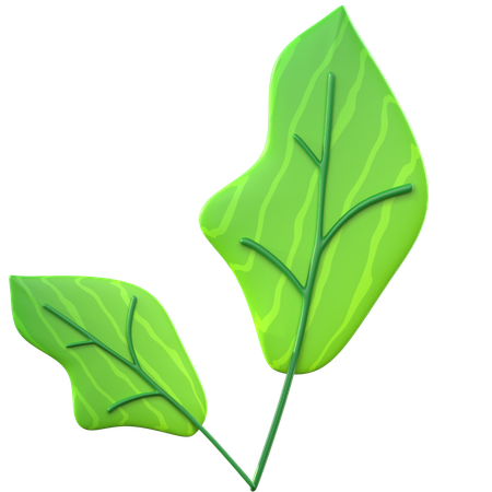 Green Leaf  3D Icon