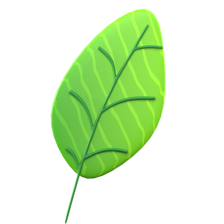 Green Leaf  3D Icon