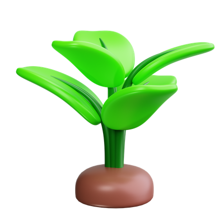 Green Leaf  3D Icon