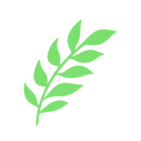 Green Leaf  3D Icon