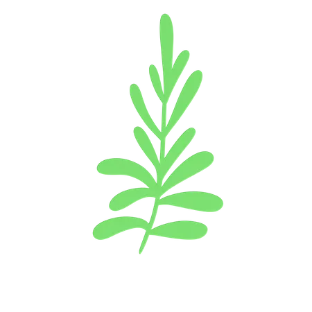 Green Leaf  3D Icon