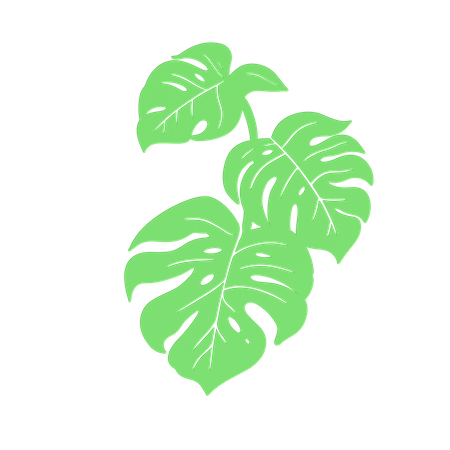 Green Leaf  3D Icon