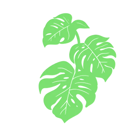 Green Leaf  3D Icon