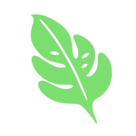 Green Leaf  3D Icon