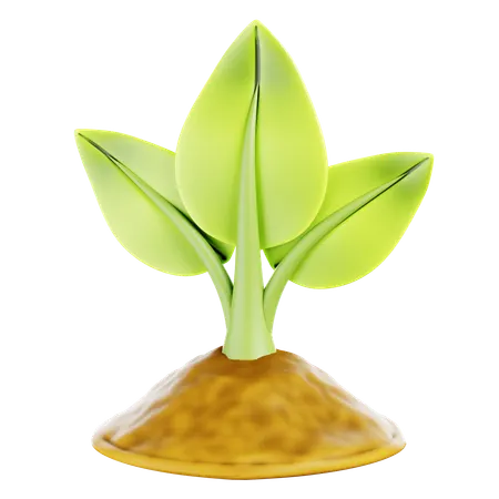 Green Leaf  3D Icon
