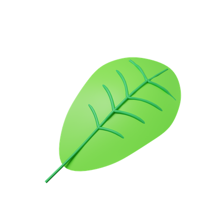 Green leaf  3D Illustration