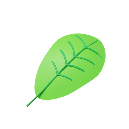 Green leaf 3D Illustration