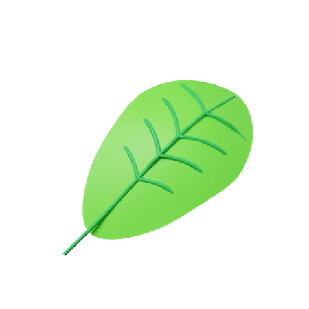 Green leaf  3D Illustration