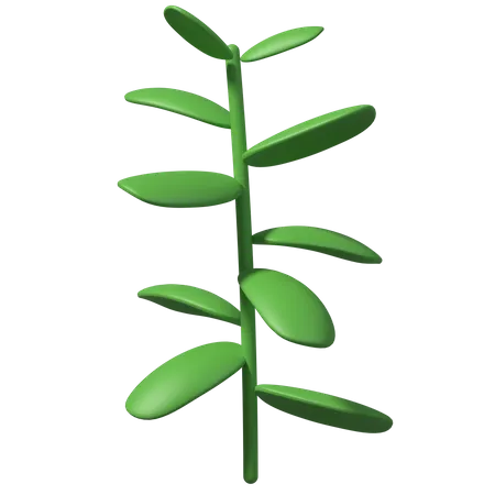 Green Leaves  3D Illustration