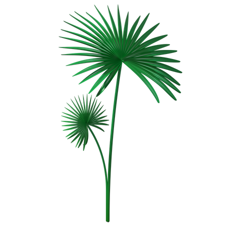 Green Leaves  3D Illustration