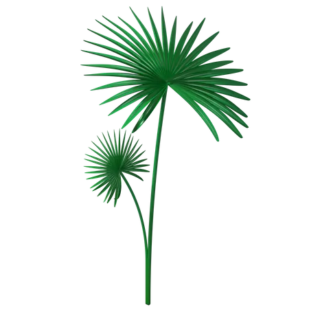 Green Leaves  3D Illustration