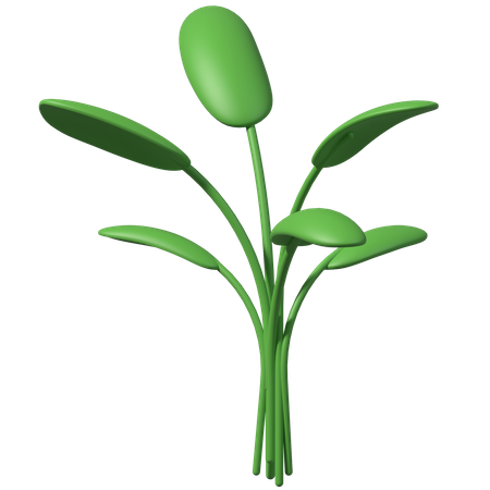 Green Leaves  3D Illustration