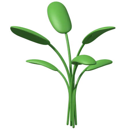 Green Leaves  3D Illustration