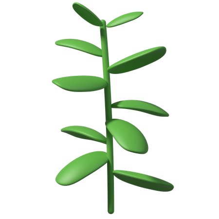Green Leaves  3D Illustration