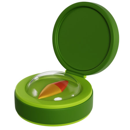 Green Military Navigation Compass  3D Icon