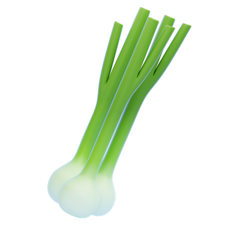 Green Onion  3D Icon