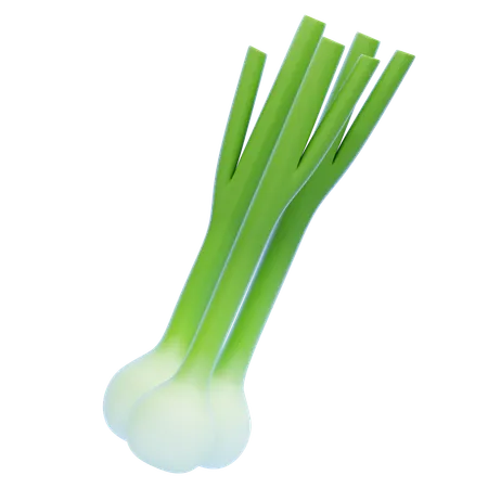 Green Onion  3D Icon