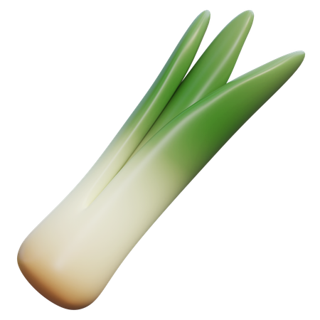 Green Onion  3D Icon