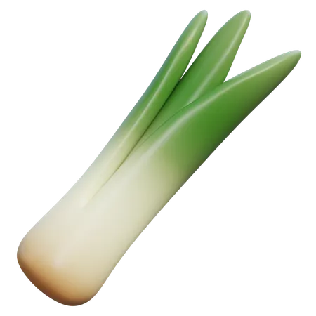 Green Onion  3D Icon