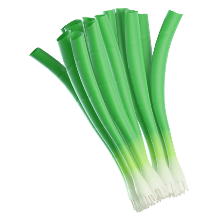 Green Onion  3D Icon