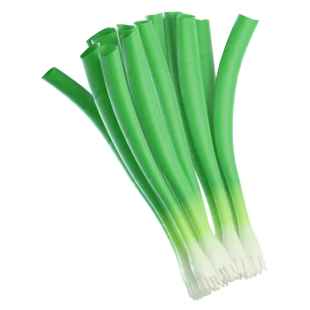 Green Onion  3D Icon