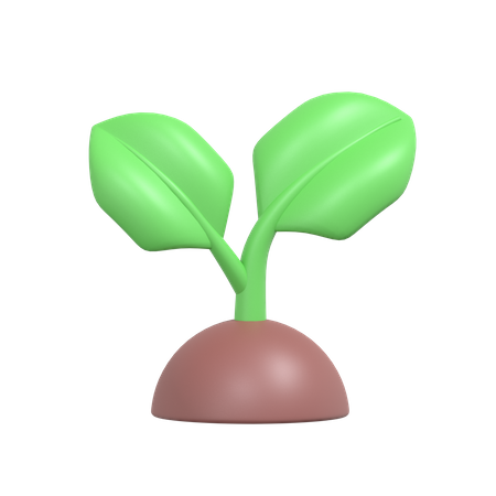 Green Plant  3D Icon