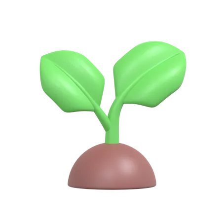 Green Plant  3D Icon