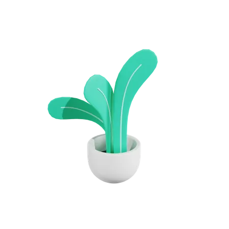 Green Plant  3D Icon