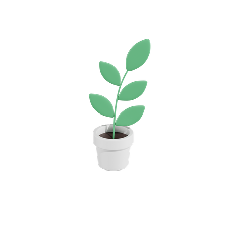 Green Plant  3D Icon