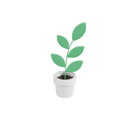 Green Plant  3D Icon