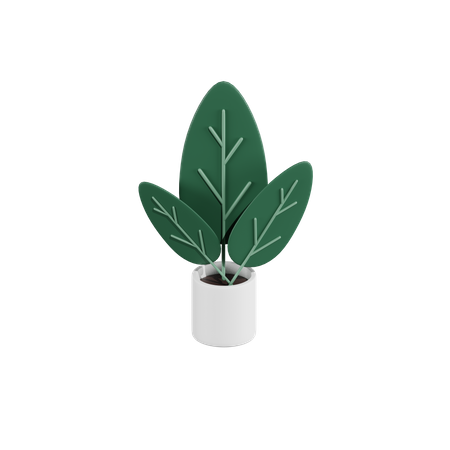 Green Plant  3D Icon