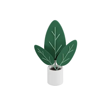 Green Plant  3D Icon