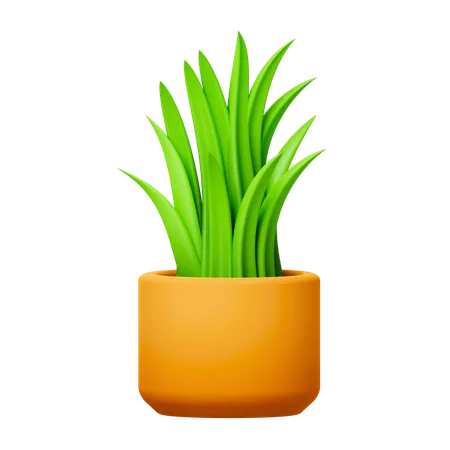 Green Plant  3D Icon