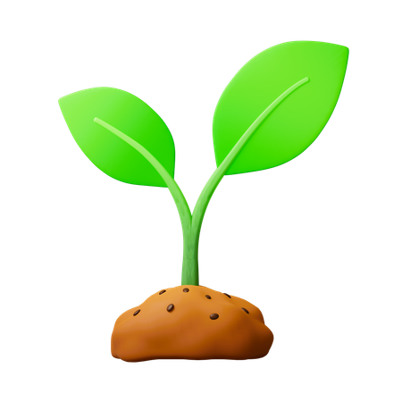 Green Plant  3D Icon