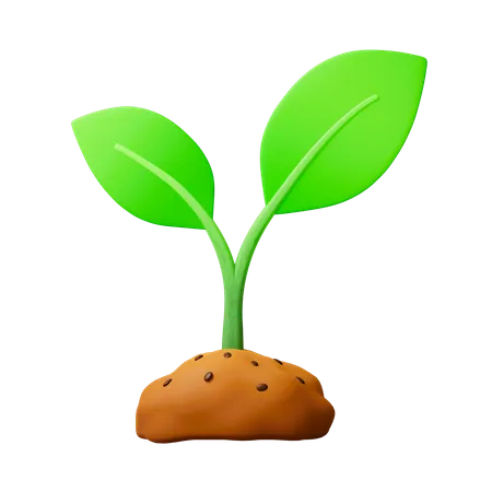 Green Plant  3D Icon