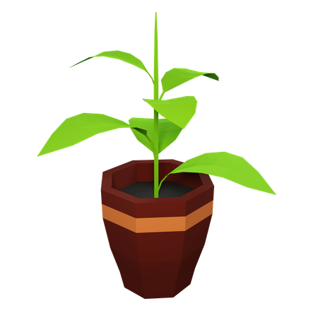 Green Plant  3D Illustration