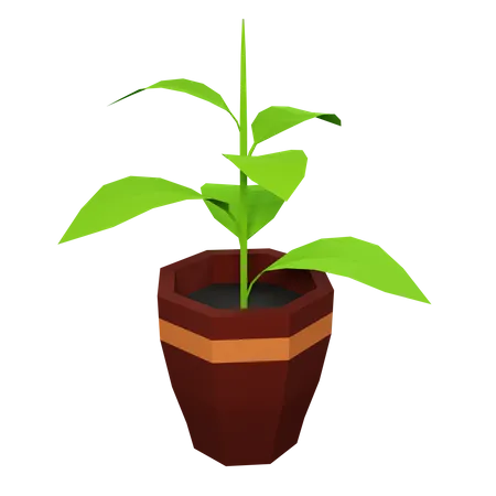 Green Plant  3D Illustration