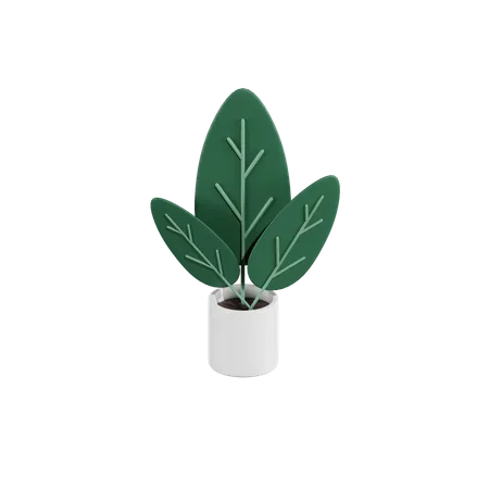 Green Plant 3D Icon