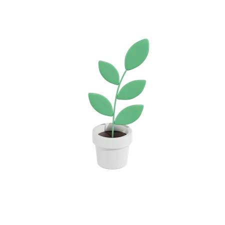 Green Plant 3D Icon