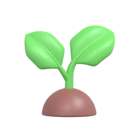 Green Plant 3 D Ecology Icon 3D Icon