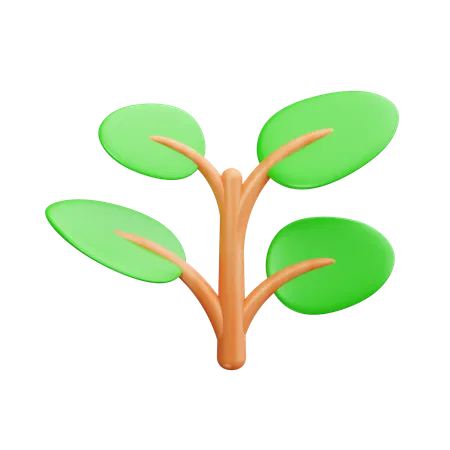 緑の植物  3D Icon