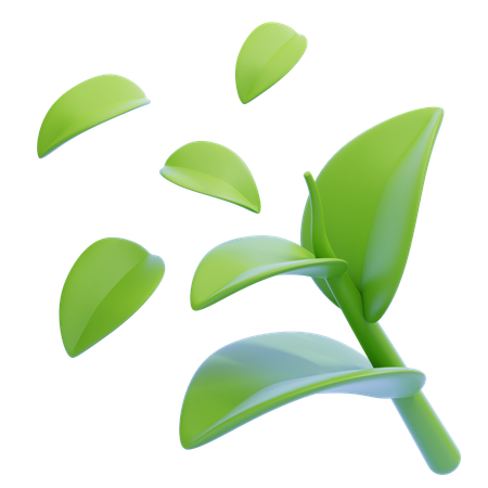 Green Tea Leaf  3D Icon