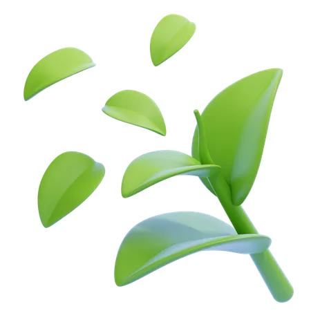 Green Tea Leaf  3D Icon