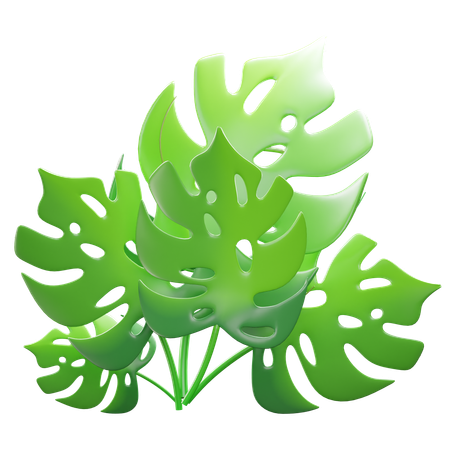 Green Tropical Leaves  3D Icon