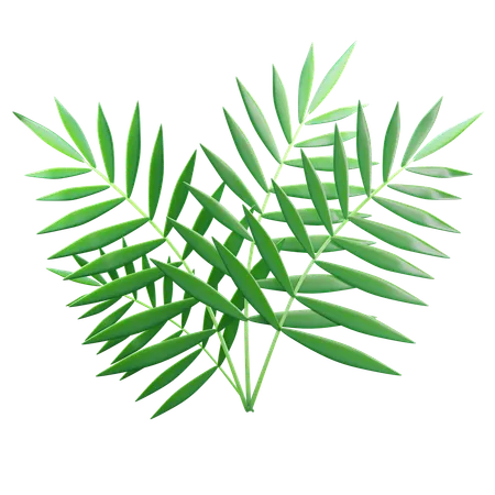 Green Tropical Leaves  3D Icon